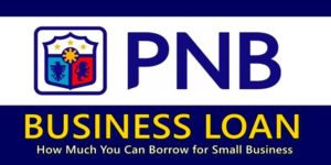PNB Business Loan