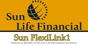 Sun FlexiLink1