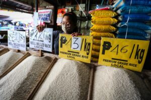 PhilConGrains on Rice