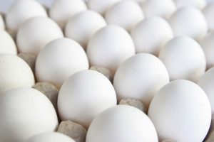 Price of Egg