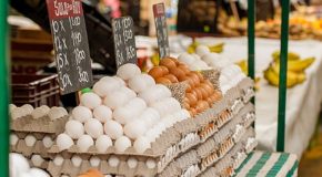 Price of Egg Remains Remains High in PH amid Insufficient Supply