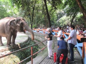 Manila Zoo Entrance Fee