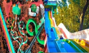 Splash Island Entrance Fee