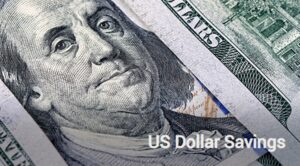 BDO US Dollar Savings Account
