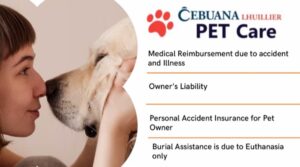Cebuana Lhuillier Dog Insurance