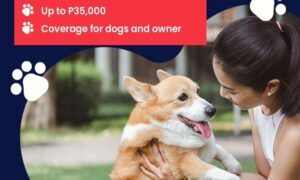 Cebuana Lhuillier Dog Insurance Coverage for Pet Owner