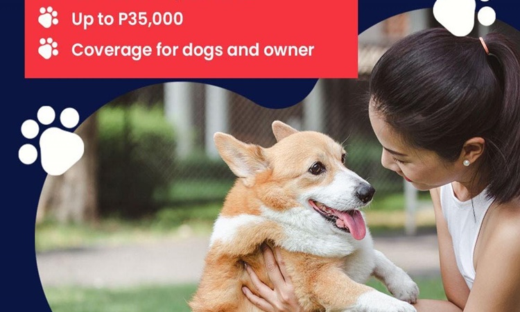 Cebuana Lhuillier Dog Insurance Coverage for Pet Owner