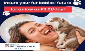Cebuana Lhuillier Dog Insurance Owner's Liability