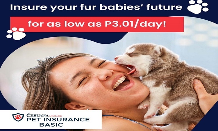 Cebuana Lhuillier Dog Insurance Owner's Liability