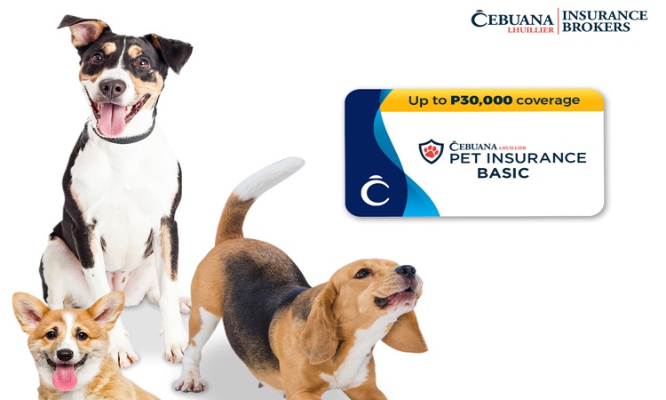 Cebuana Lhuillier Pet Insurance Coverage