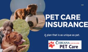 Cebuana Lhuillier Pet Insurance Price