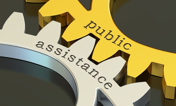 Public Assistance