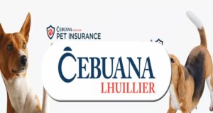 Requirements for Cebuana Lhuillier Pet Insurance Claim