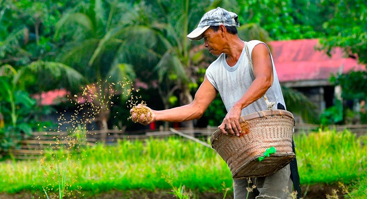 Landbank "Sulong Saka" Loan 2023 for Farmers
