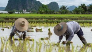 Requirements for Landbank Loan To Farmers 2023