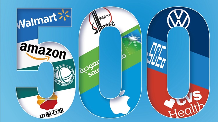 Fortune 500 Companies 2024