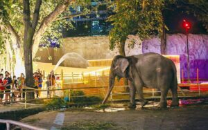 Manila Zoo