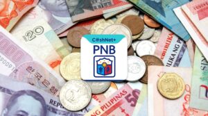 PNB Cash Loan Amount