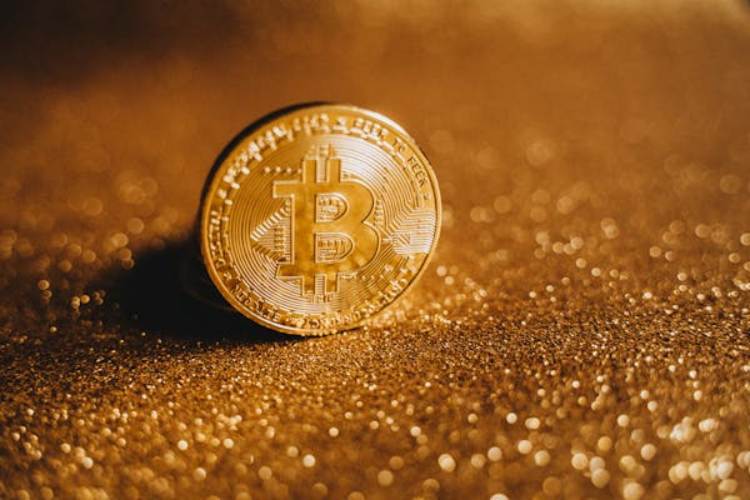 coin staking