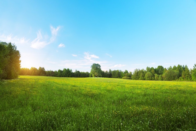 Requirements for Pag-IBIG Housing Loan Application for Lot Purchase
