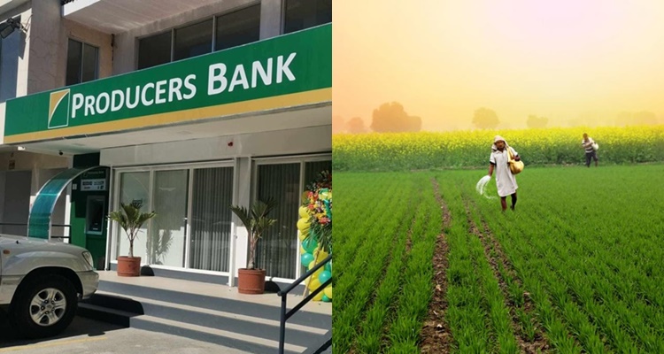 Producers Bank Crop Loan