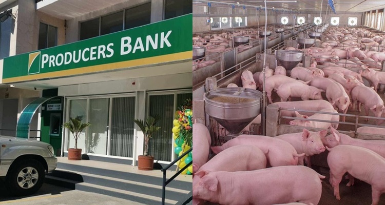 Producers Bank Livestock Loan