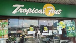 Tropical Hut