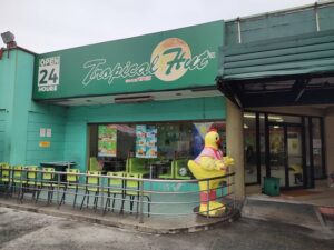 Tropical Hut