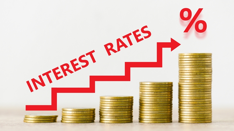 Online Cash Loans Interest Rate