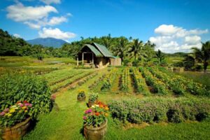 Landbank Farm Tourism Loan 2026